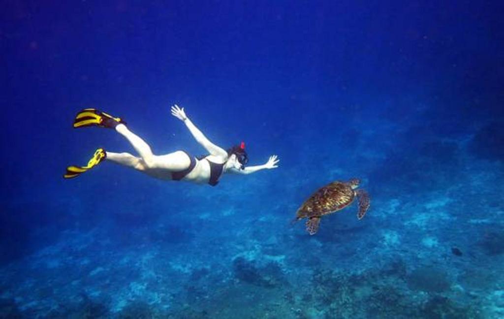 ローカル アイランド イン Hangnaameedhoo エクステリア 写真