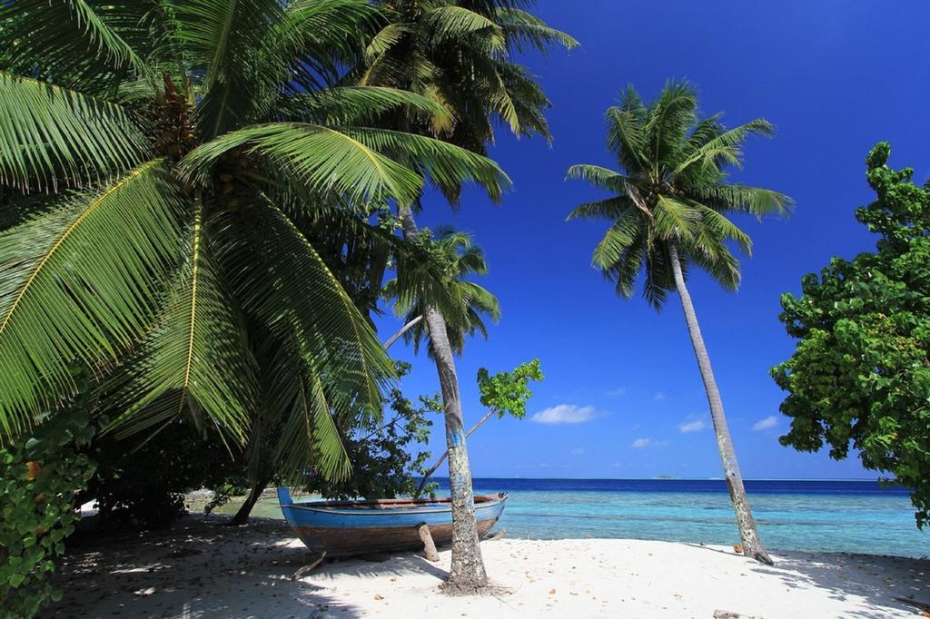 ローカル アイランド イン Hangnaameedhoo エクステリア 写真