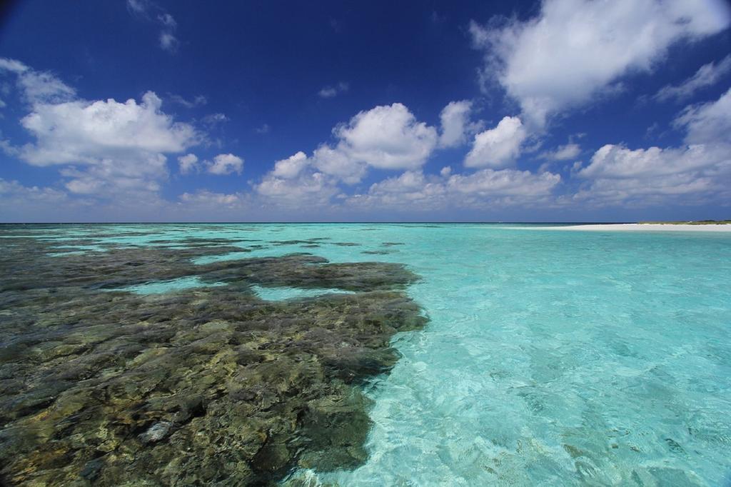 ローカル アイランド イン Hangnaameedhoo エクステリア 写真