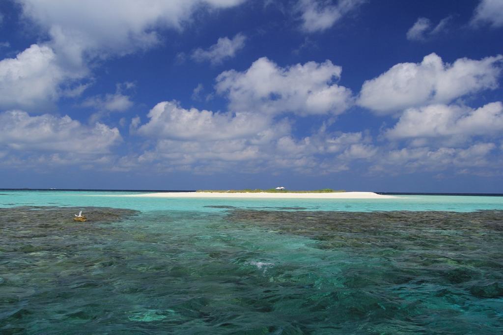 ローカル アイランド イン Hangnaameedhoo エクステリア 写真