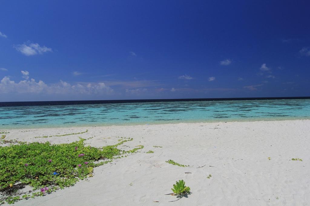 ローカル アイランド イン Hangnaameedhoo エクステリア 写真