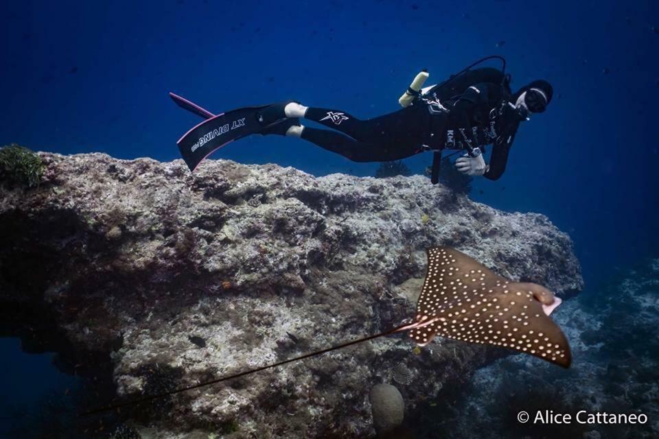 ローカル アイランド イン Hangnaameedhoo エクステリア 写真