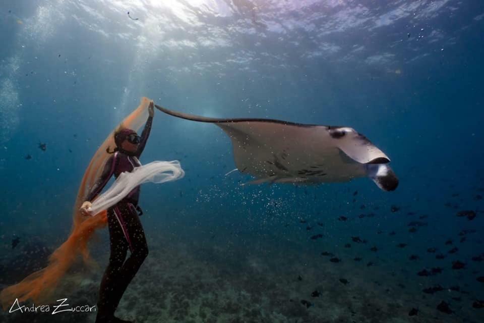 ローカル アイランド イン Hangnaameedhoo エクステリア 写真